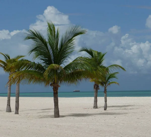 Isla Pasion Passion Island Cozumel Mexiko — Stockfoto