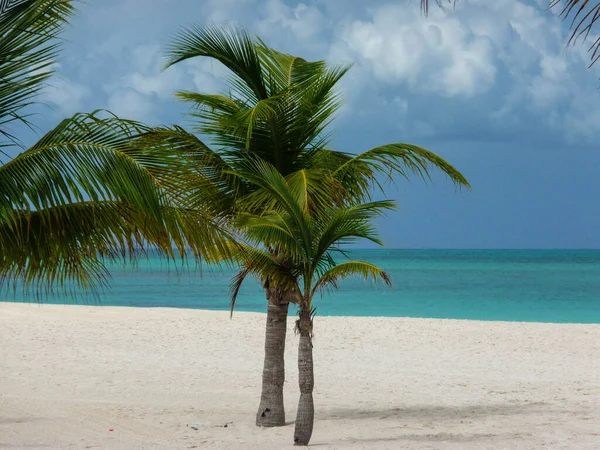 Isla Pasion Passieeiland Cozumel Mexico — Stockfoto