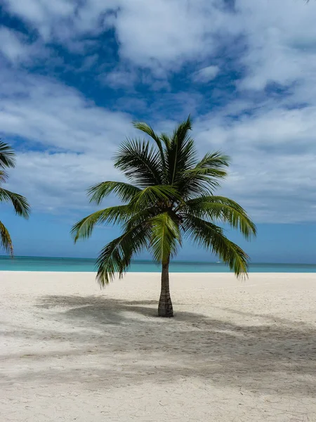 Isla Pasion Vášnivý Ostrov Cozumel Mexiko — Stock fotografie