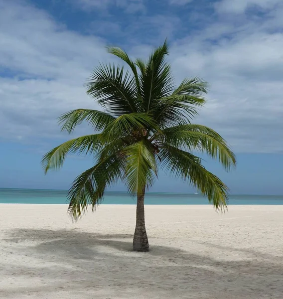 Isla Pasion Passion Island Cozumel Mexiko — Stockfoto