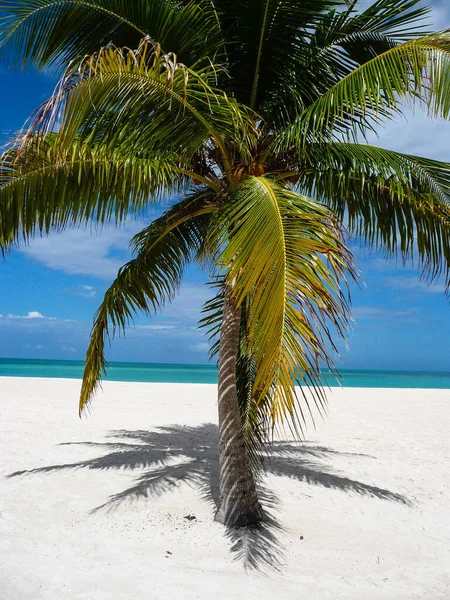 Isla Pasion Vášnivý Ostrov Cozumel Mexiko — Stock fotografie