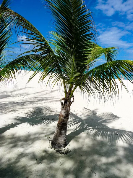 Isla Pasion Passion Island Cozumel Mexiko — Stockfoto