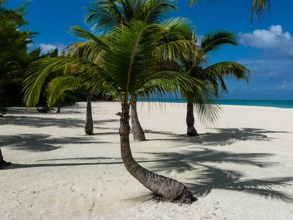 Isla Pasion Passion Island Cozumel Mexiko — Stockfoto