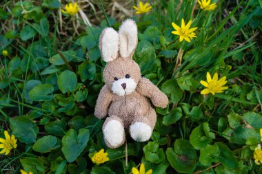 Mutlu Paskalya Tavşanları ve renkli yumurtalar