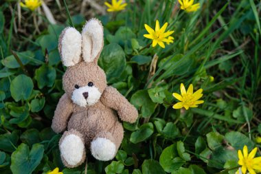 Mutlu Paskalya Tavşanları ve renkli yumurtalar