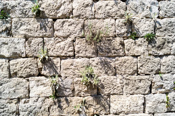 Muro Mattoni Pietre Fughe — Foto Stock