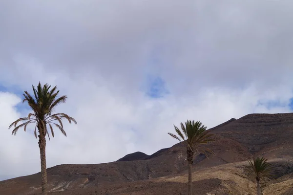 Sopečné Hory Fuerteventura Španělsko — Stock fotografie