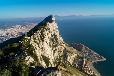 Magot Barbar Maymunları Gibraltar 'daki Sylvanus Macaca maymunu