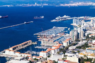 Cebelitarık maymunları Akdeniz 'de sallanıyor.