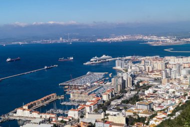 Cebelitarık maymunları Akdeniz 'de sallanıyor.