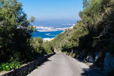 Cebelitarık maymunları Akdeniz 'de sallanıyor.