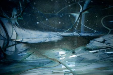 Suda yağlı boya emülsiyonları olan soyut sanat eserleri