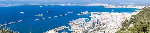 Gibraltar Die Affen Rocken Mittelmeer — Stockfoto