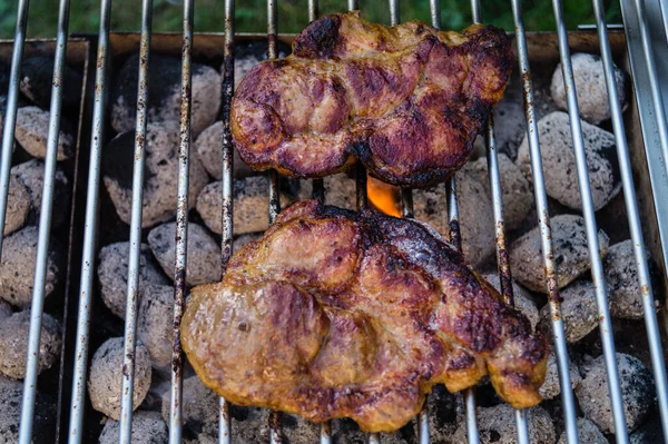 烤架上的辣肉 — 图库照片
