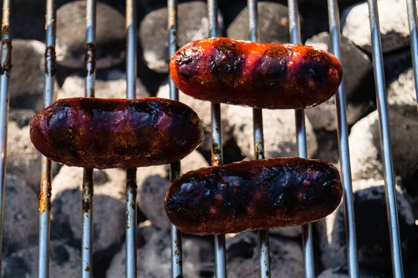 Pikantes Fleisch Auf Dem Grill — Stockfoto