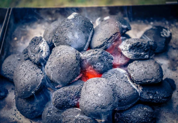 Pikantní Kuřecí Stehna Jiné Maso Grilu — Stock fotografie