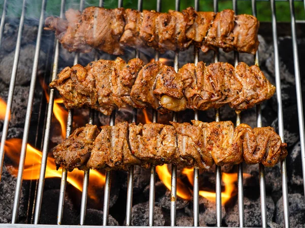 Kryddiga Kycklingtrumpinnar Och Annat Kött Grillen — Stockfoto