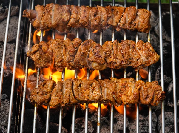 Kryddiga Kycklingtrumpinnar Och Annat Kött Grillen — Stockfoto