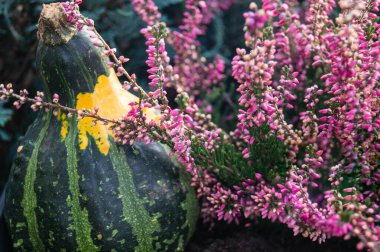 Geleneksel sonbahar dekorasyonu