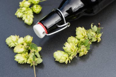 Taze yeşil bira yapmak için bir bileşen.