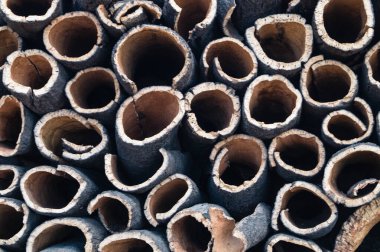 Bir yığın Portekiz kork meşesi kabuğu