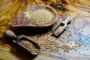 Hardal tohumları granum sinapis ve tahta kaşık.