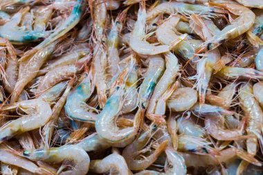 İspanyol balık pazarında kerevit ve ıstakoz. 