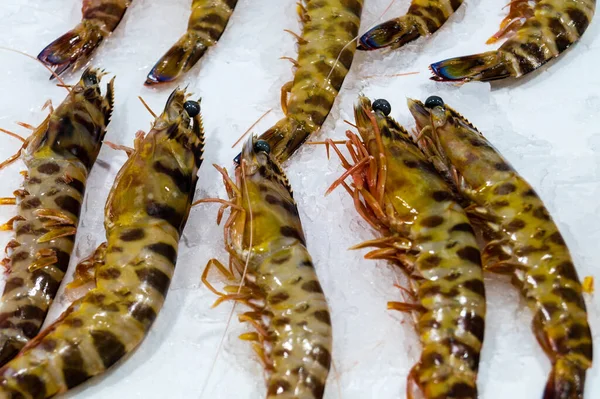 Écrevisses Crevettes Homard Dans Marché Aux Poissons Espagnol — Photo