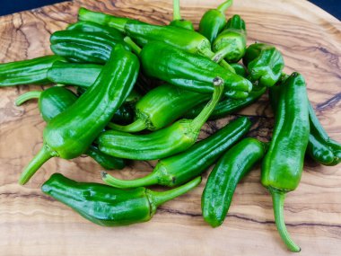 Pimentos de Padron İspanyol biberi