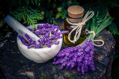 Taze lavantalı alternatif ilaç.
