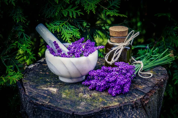 Taze lavantalı alternatif ilaç.