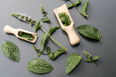 biraz yeşil nane yaprağı. 