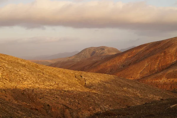 Montana Cardon Fuerteventura Španělsko — Stock fotografie