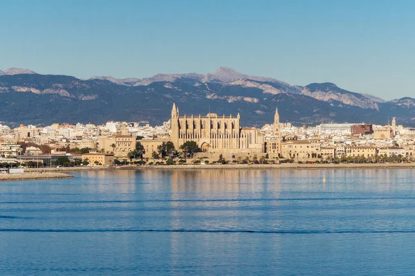 Seu Gótikus Római Katolikus Katedrális Santa Maria Palma Mallorca Szemszögéből — Stock Fotó