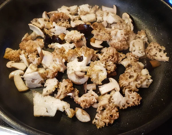 Ormandan yeni çıkmış mantarlar.