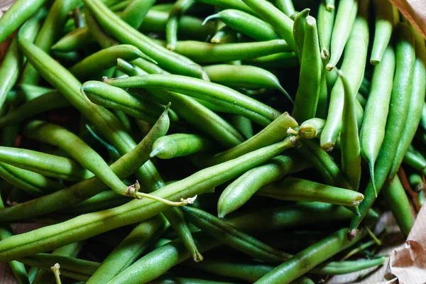 Roasted Goose Beans Duchess Potatoes — Stock Photo, Image