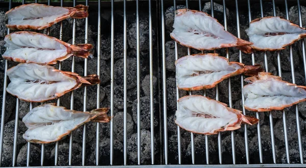 Fekete Tigris Király Garnélarák Grillezéshez — Stock Fotó