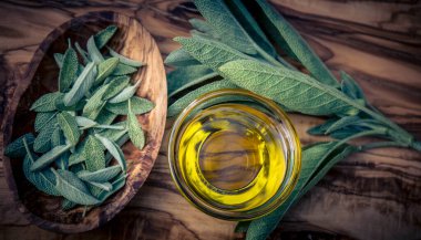 Adaçayı yapraklı alternatif Medecine.