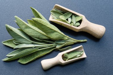 Adaçayı yapraklı alternatif Medecine.