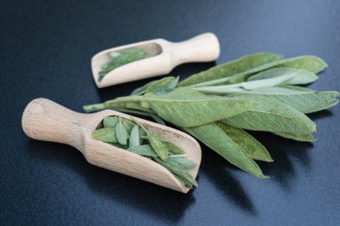 Adaçayı yapraklı alternatif Medecine.