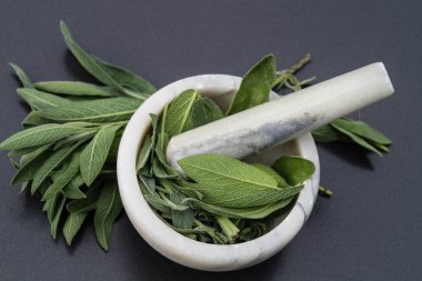 Adaçayı yapraklı alternatif Medecine.