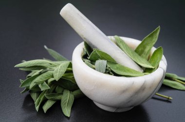 Adaçayı yapraklı alternatif Medecine.