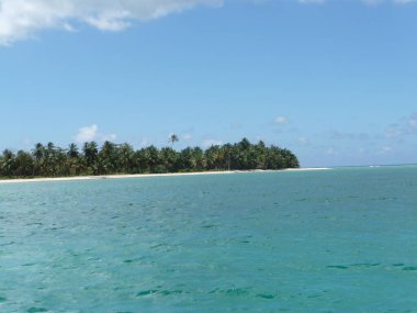Dominik Cumhuriyeti 'nin ıssız plajı Saona Doğa Koruma Alanı Park Nacional del Este 