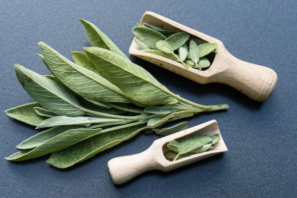 Adaçayı yapraklı alternatif Medecine.