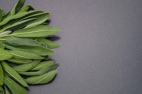 Alternative Medizin Mit Salbeiblättern — Stockfoto