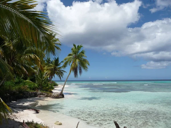 Eenzame Strand Dominicaanse Republiek Natuurreservaat Saona Parque Nacional Del Este — Stockfoto