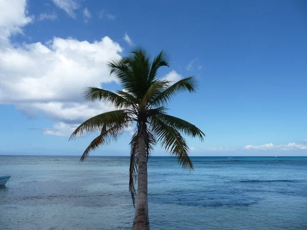 Osamělá Pláž Dominikánské Republice Přírodní Rezervace Saona Parque Nacional Del — Stock fotografie