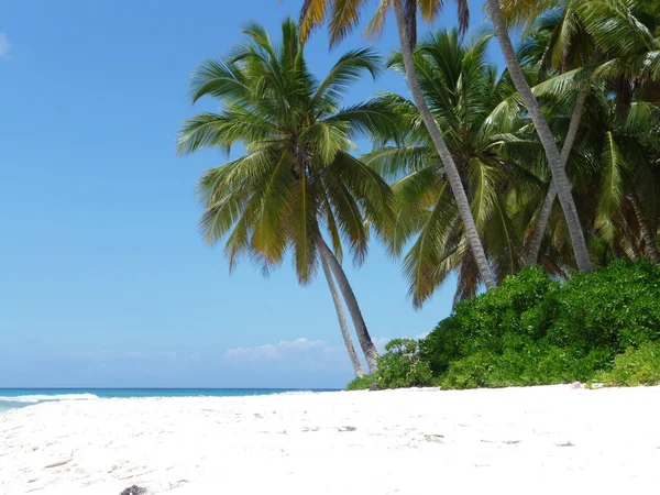 Ensam Strand Den Dominikanska Republiken Saona Naturreservat Parque Nacional Del — Stockfoto