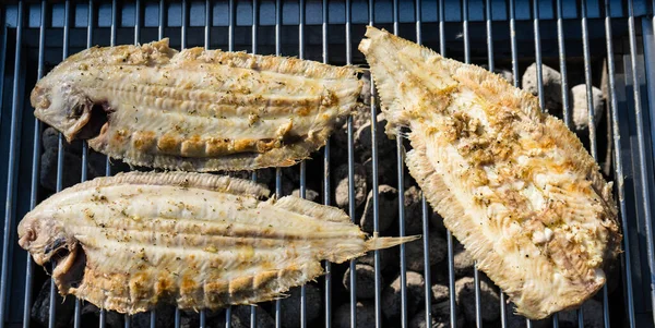 Saltwater Sole Delicious Flatfish — Stock Photo, Image