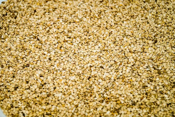 Sesame Seeds Olivewood — Stock Photo, Image